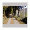 Un diaporama en Correze en Fevrier 2004